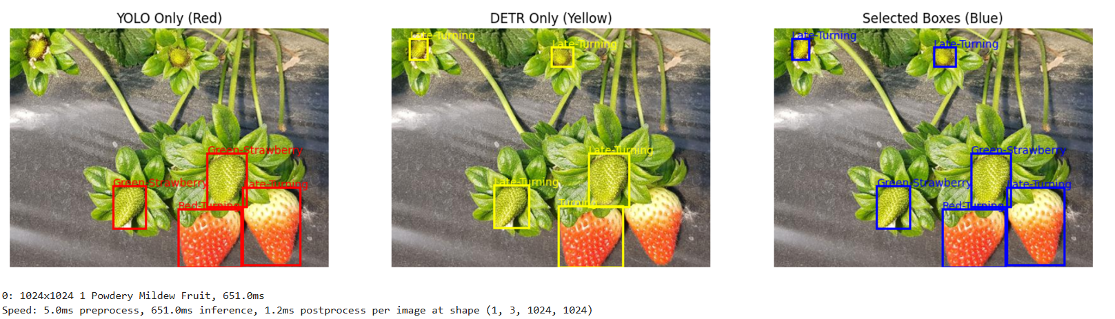 YOLOv9-DETR strawberry disease detection dashboard