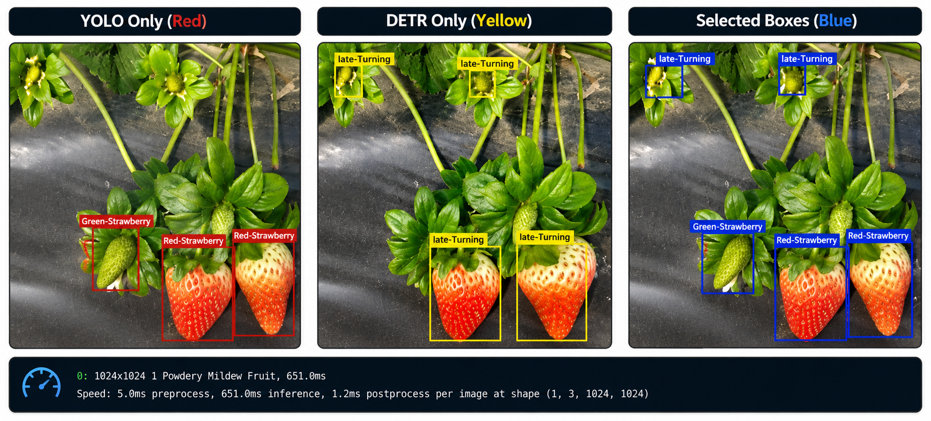 AI Strawberry Disease Detection